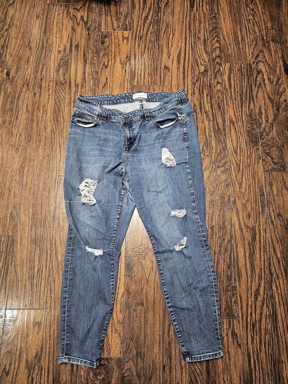 Molly Bracken Distressed Skinny Jeans in Blue